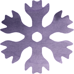 snabbare 300x300